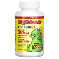 Natural Factors, Big Friends®, Chewable Multivitamin & Mineral, Jungle Berry, 60 Chewable Tablets