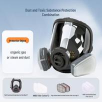 Taodun 6800 Full Face Respirator Mask black