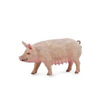 CollectA Kiaulės figūrėlė (Vidutinis) (Sėja)