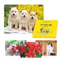 Saesam Senior Discrimination Improvement Board Puzzle Set of 4, Korean popular puzzles yellow