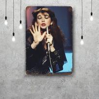 kate bush Metalinės lentelės sienų dekoras Vintažinės skardinės lentelės Kapitono metalinis plakatas Dekoras barui, pubui, klubui Sienų dekoracija 30x40cm(11.8x15.7inch)