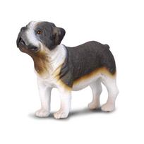 Surinkite buldogo figūrą (Vidutinis)