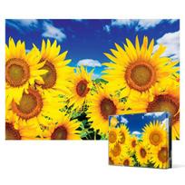 2000-piece jigsaw puzzle - Sunflower field in a clear sky (mini), popular Korean puzzle blue