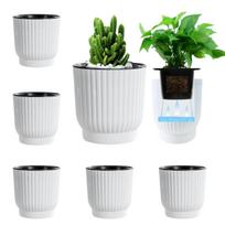 East Leaf Laistymo sistema Vazonas Savaime laistantis Plastikinis Laistymo virvelė Įtraukta Dekoratyvinis augalas Kaktusas 12cm 6 vnt. rinkinys black