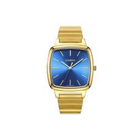 CASIO Moteriškas standartinės serijos mėlynas laikrodis LTP-E117G-2A LTP-E117G-2A Blue Dial blue
