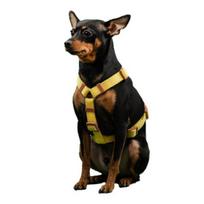 Bodelang puppy pure cotton H-shaped chest strap, yellow black