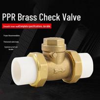 PPR Horizontal Hot-Melt Check Valve
