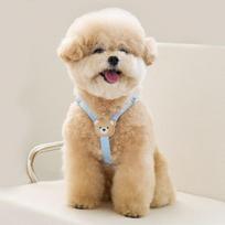Bai Bong Puppy Light Bear Harness, Sky Blue beige