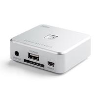 Sanwa Direct Audio Capture Device No PC Required Analog Audio Saves to MP3 Mini External Input - - Digitization, SD/USB Memory, Cassette/MD/Vinyl