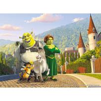 500 Piece Jigsaw Puzzle - Shrek Best Friend, popular Korean puzzle gray