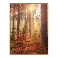 Rudens moliūgų miško lapai kraštovaizdis Plakatas Voverė Dekoratyviniai paveikslai Drobė Sienos Menas Nuotraukos Estetinis svetainės dekoras 40x50cm No Framed