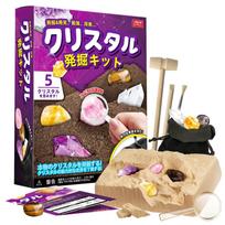 XXTOYS Kristalų kasinėjimo rinkinys Kristalų atradimas Brangakmenių kasybos žaislas Ametistas Edukacinis Geologijos Dovana purple