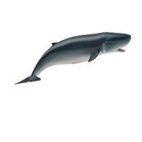 Collcta Sperm Whale, 15.2cm (width) x 3.8cm (height) gray