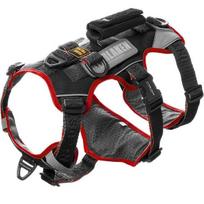 Interlaken Earthtech Slim 3.0 diržai šunims, tamsiai pilka + raudona gray