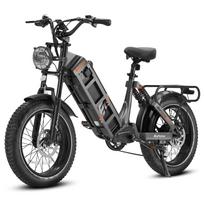 Juliet Juoda/Žalia 1000W Variklio Galia 48V60AH Baterija 20 * 4.0 colių Padanga Hidrauliniai Stabdžiai Ximano 7 pavarų Miesto Be kelio Kalnų Elektrinis Dviratis Black
