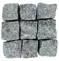 Pilkos granito trinkelės, 10x10x5 cm, 1 t
