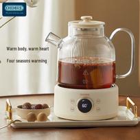 OIDIRE Electric Health Kettle CN plug (adapter included) gray