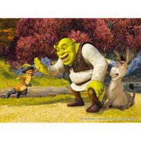 150 Piece Jigsaw Puzzle - Shrek Fighting, popular Korean puzzle black
