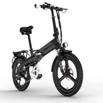 Lankeleisi g660 pigus sulankstomas el. dviratis 500w elektrinis dviratis 20 colių sulankstomas dviratis elektrinis dviratis miesto ebike plento dviratis GRAY-500W48V12.8AH-YY pilka spalva