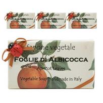 Alchimia Ladybug Soap Natural handmade perfume soap, FOGLIE DIALBICOCCA (Apricot), 4 pieces, 200g gray