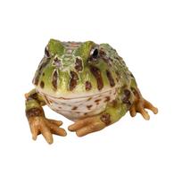 Woobia Reclining Horned Frog, Green, 10 x 9.5 x 6 cm, Doll, Figurine, Ornament, Animal, Garden Decoration, Frog H20152 beige
