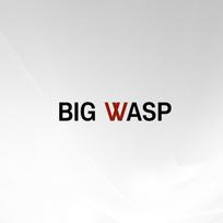 Big Wasp Ombre SMP Needle, 0803RL25, 1 piece white