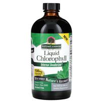 Nature's Answer, Skystas chlorofilas, 100 mg, 16 fl oz (480 ml)