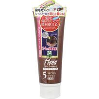Sanpo TEN STAR Color Treatment III 5 Brown 250g Color treatment for gray hair Colorant for Gray Hair <1. after shampooing, thoroughly drain off water.