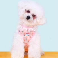 Berit Dog Flower Harness Small Dog Medium Dog, Blue white
