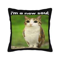 Pillow Cover Meowl Brainrot Funny Meme Cat Owl Funny Cursed  Retro Trendy Pillow Case For Chair Sofa Home Decor Pillowcases 40x40CM(16x16in) black