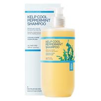 Haraj Kelp Cool Peppermint Shampoo Peppermint Flavor, 500ml, 1 unit beige