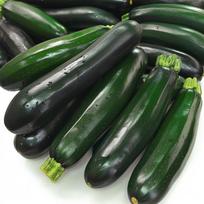 15 Black Beauty cukinijų sėklų