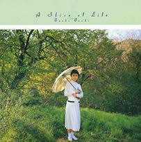 A Slice of Life (Limited Edition) (Analog)