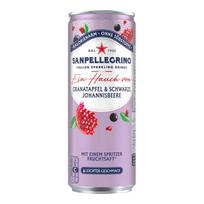 San Pellegrino Granatų ir serbentų 330ml 1 skardinė white