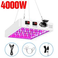 4000 W Grow Light viso spektro lempa augalams 5000 W fito šviesa šiltnamio UV lempa augalai sėklos daržovės LED Fitolamp JAV / ES / JK kištukas US  Plug
