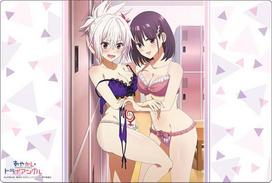 Bushiroad Rubber Mat Collection V2 Ayakashi Triangle Vol.1025 “Mari & Suzu” Part.2 gray