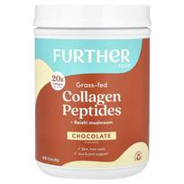 Kitas maistas, žole šertų daržovių kolageno peptidai + Reishi grybai, šokoladas, 1,8 svaro (690 g)