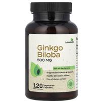 „Futurebiotics“, ginkmedis, 500 mg, 120 vegetariškų kapsulių (250 mg vienoje kapsulėje)