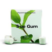 Denmark True Gum Sugar-Free Mint Gum 21G white