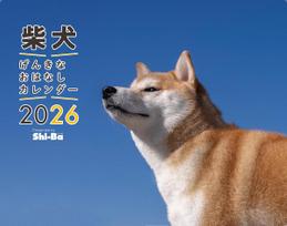 2026 Shiba Inu Linksma Istorija Kalendorius gray