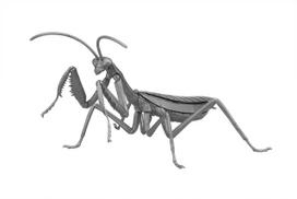 Nemokama tyrimų serija Padarai Didysis maldininkas Plastikinis modelis Nr.23 EX-4 (Metalinis Sidabras) gray