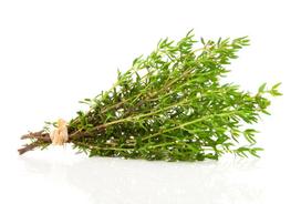 300 čiobrelių sėklų - vaistinis aromatinis augalas - dauginasi valstiečių sėklos - SemiSauvage