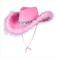 Furry Trim Western Cowboy Hat Wide Brim Top Hat Classic Sequin Cowgirl Hat  Stage Performance Style B Pink pink