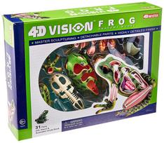 3D Puzzle 4D VISION Animal Anatomy Frog Anatomy Model [Item] green