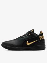 NIKE Krepšinio batai, ZOOM LEBRON NXXT GEN AMPD