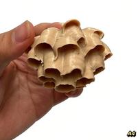 Dirbtinio vapsvų lizdo, Lauko kabinamas netikras vapsvų lizdas, Vapsvų atbaidymo prietaisas, Tinka sodui, terasai, verandai, Vapsvų kontrolė A4 beige