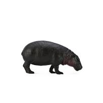 CollectA Nykštukinis begemotas figūrėlė (Didelis)
