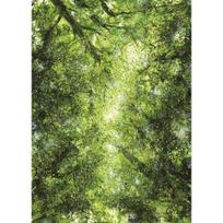 1000 piece jigsaw puzzle - green and lush (wood), popular Korean puzzle black