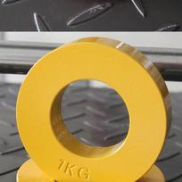 WEZHO Barbell Weight Plate gray
