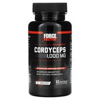 Force Factor, Fundamental, Cordyceps sinensis, 1000 mg, 60 kapsulių (500 mg vienoje kapsulėje)